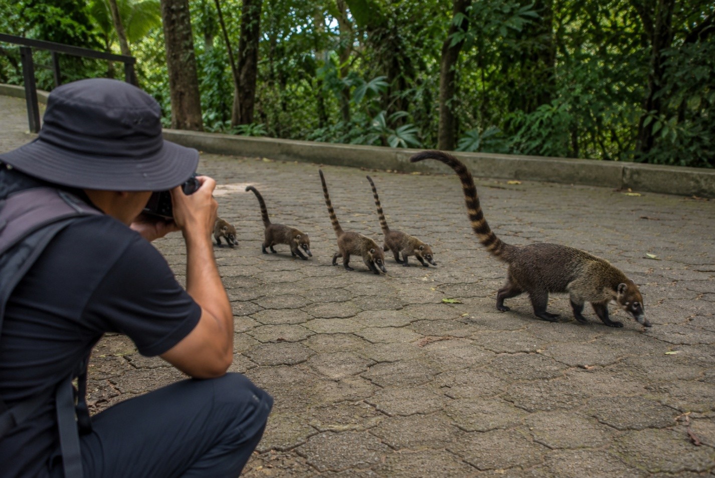 Photography & nature